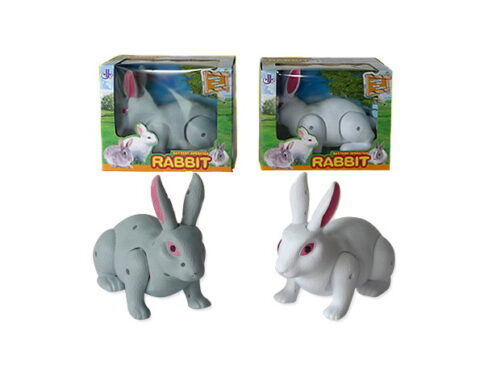 Bo Rabbit