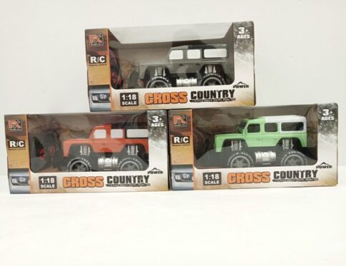 Rasing Hot [12Pcs Car]